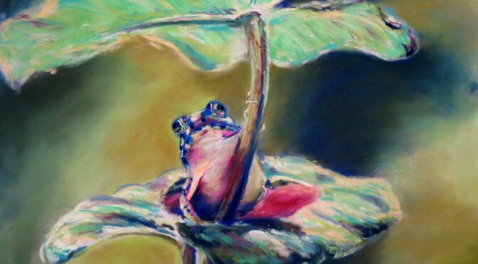 Pastel sec: Grenouille