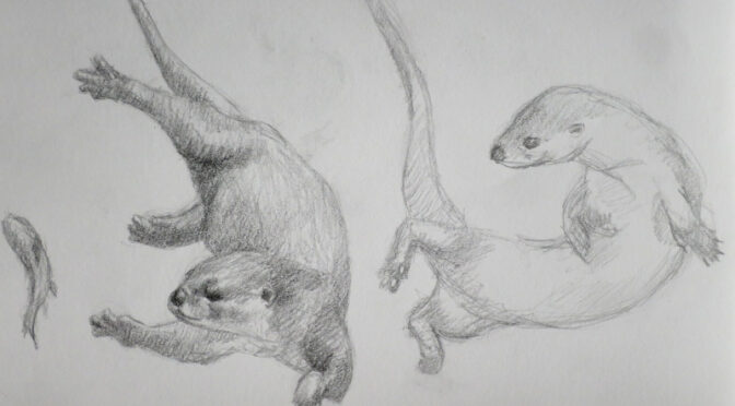 Graphite : à la recherche d’un modèle