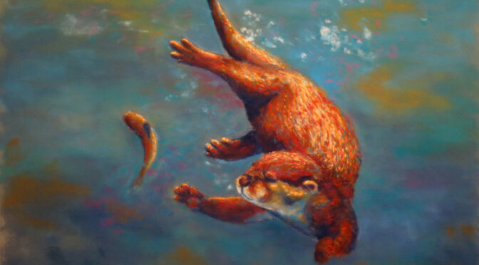 Pastel sec : loutre