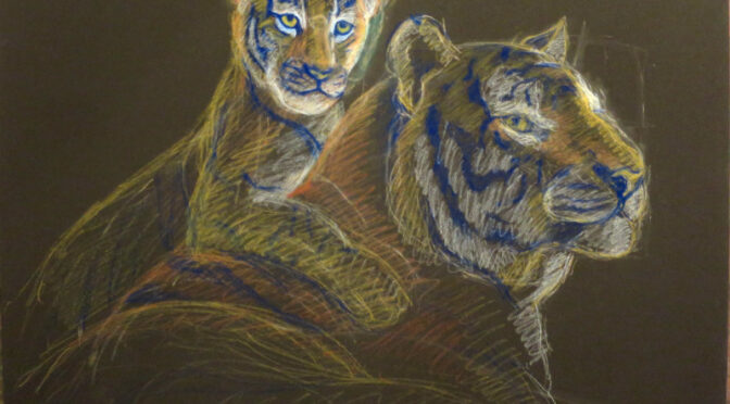 Pas à pas aux pastels secs : tigres